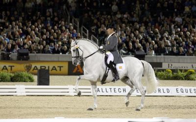 Dressage internship with Juan Manuel Muñoz